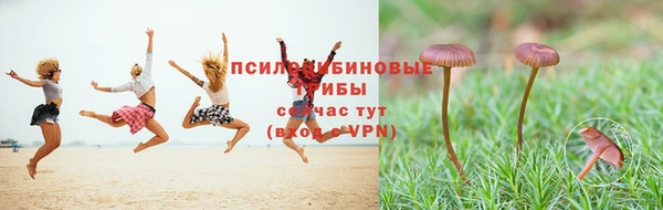 бошки Кулебаки