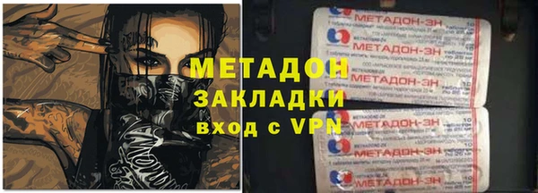 прущие грибы Чита