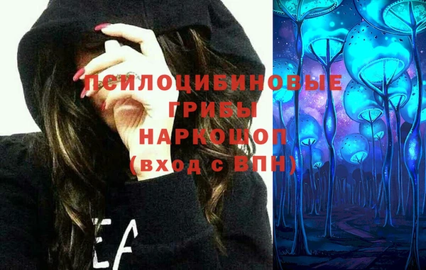 ПСИЛОЦИБИНОВЫЕ ГРИБЫ Куйбышев