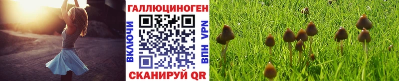 hydra ССЫЛКА  Юрьев-Польский  Псилоцибиновые грибы Psilocybine cubensis  это какой сайт  даркнет сайт 